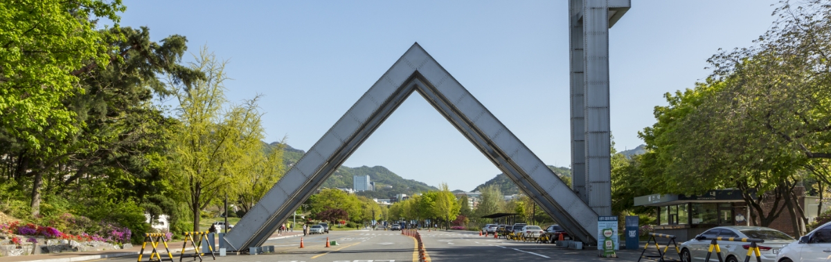 서울대학교 출신 의료진